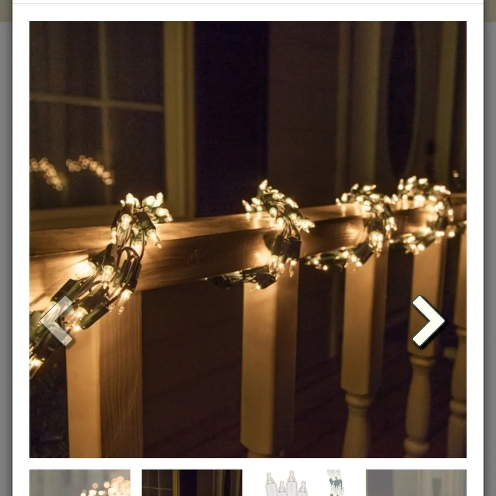 NIB-Wintergreen Lighting- 9’ Garland Lights, 300 Clear Lamps, Green Wire